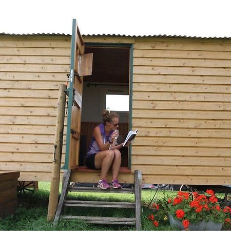 מלון אשפורד Shepherdshuts-Southeast מראה חיצוני תמונה